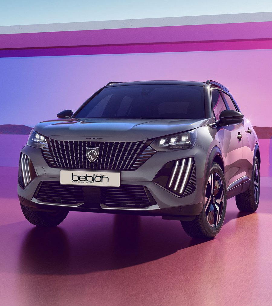 PEUGEOT 2008 BUSINESS